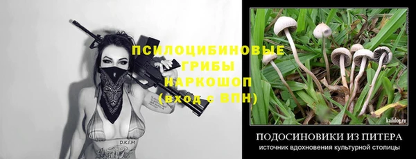 экстази Гусь-Хрустальный
