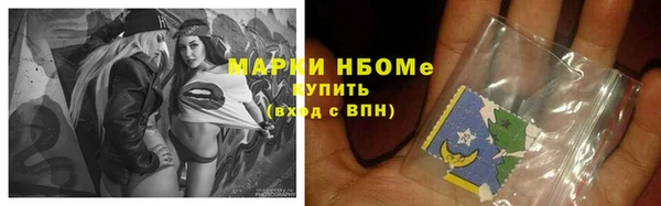 гидропоника Гусиноозёрск