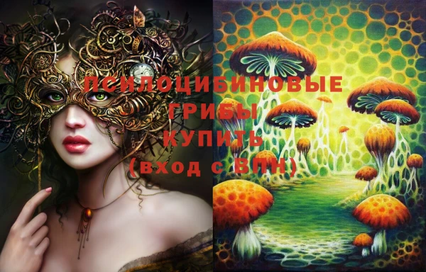 гидропоника Гусиноозёрск
