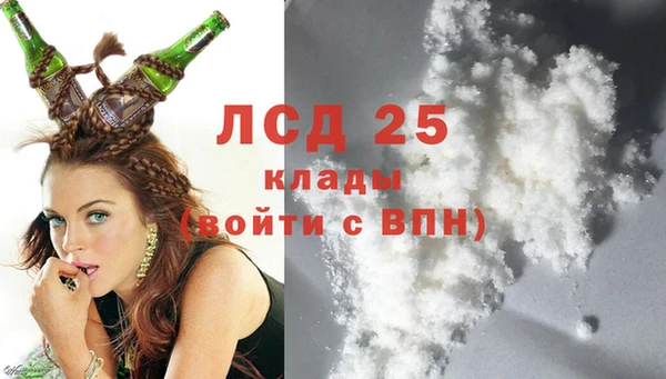 индика Артём