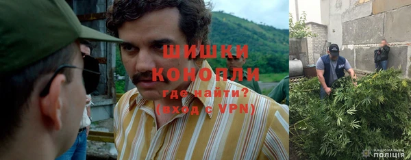 гидропоника Гусиноозёрск