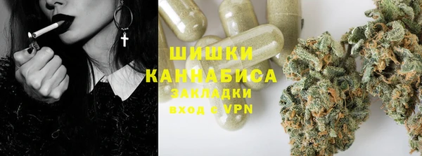 прущий лед Бердск