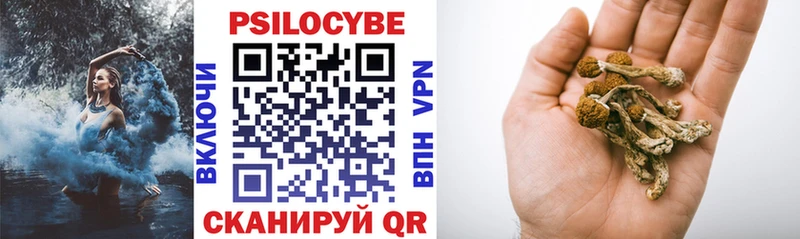 Псилоцибиновые грибы GOLDEN TEACHER Лесосибирск