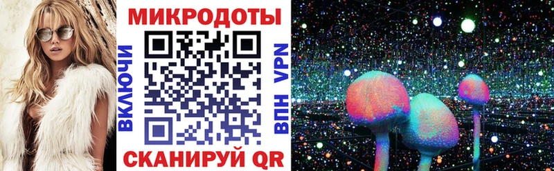 Галлюциногенные грибы Psilocybe Лесосибирск